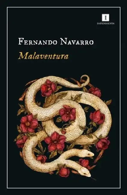 Malaventura by Fernando Navarro