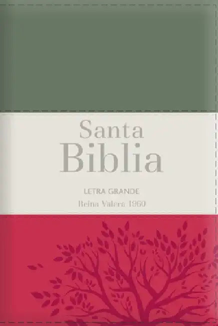 Biblia Rvr60 Letra Grande - Tamaño Manual / Tricolor: Gris/Crema/Rojo Con Indice Y Cierre (Bible Rvr60 Lp/Pocket Size - Tricolor: Grey/Cream/Red with by Reina Valera 1960