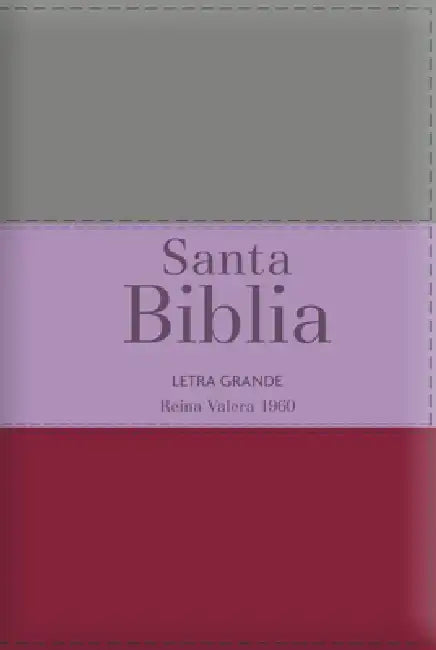 Biblia Rvr60 Letra Grande - Tamaño Manual / Tricolor: Marrón/Lila/Violeta Con Indice Y Cierre (Bible Rvr60 Lp/Pocket Size - Tricolor: Burgundy/Lilac/V by Reina Valera 1960