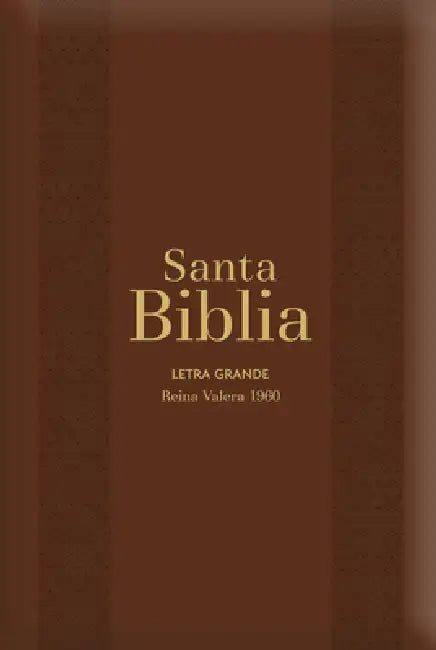 Biblia Rvr60 Letra Grande/Tamaño Manual - Marrón Con Indice Y Cierre (Bible Rvr60 Lp/Pocket Size - Burgundy with Index and Closure) by Reina Valera 1960