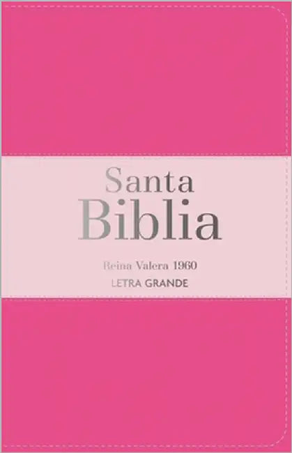 Biblia Rvr 1960 Letra Grande Tamaño Manual Tricolor Rosa Oscuro Rosa Claro Con Cierre E Índice (Bible Rvr 1960 Large Print Handsize Leatherlike Tricol by Reina Valera 1960