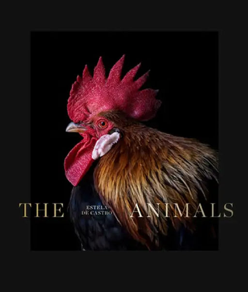 Estela de Castro: The Animals by Estela de Castro