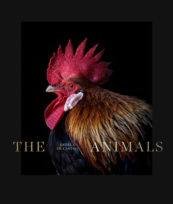 Estela de Castro: The Animals by Estela de Castro
