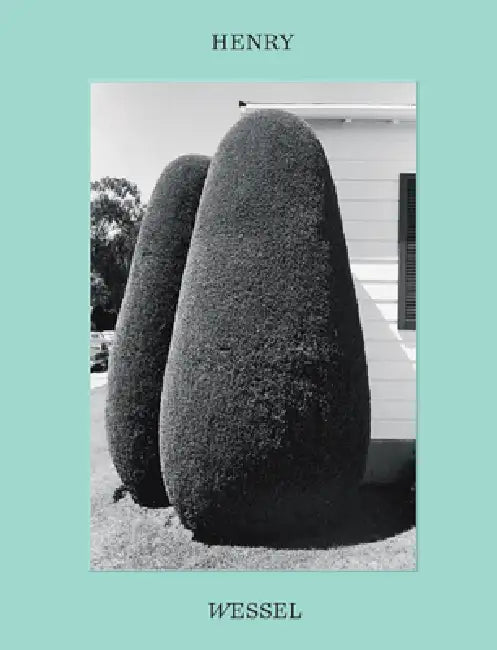 Henry Wessel: Documentary Style and Beyond by Henry Wessel, Jean-Christophe Blaser, Nathalie Pariente