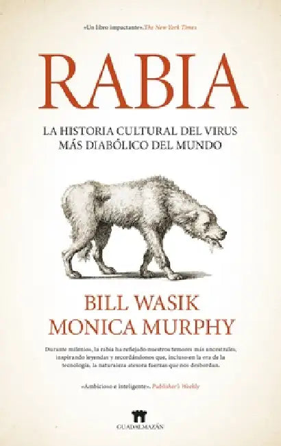 Rabia by Bill Wasik, Monica Murphy