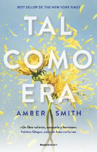 Tal Como Era / The Way I Used to Be by Amber Smith
