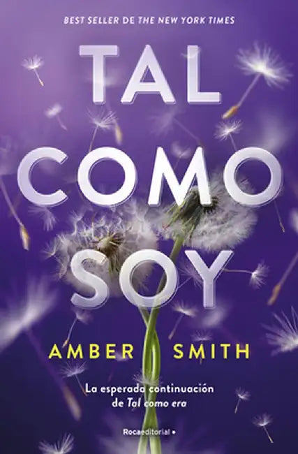 Tal Como Soy / The Way I Am Now by Amber Smith