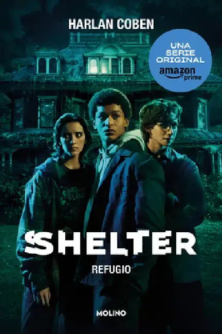 Shelter by Harlan Coben