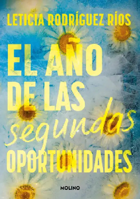 El Año de Las Segundas Oportunidades / The Year of Second Chances by Leticia Rodríguez Ríos