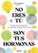 No Eres Tú, Son Tus Hormonas. Encuentra Tu Equilibrio a Través de la Salud Hormonal / It Isn't You, It's Your Hormones by Laura Aguirre
