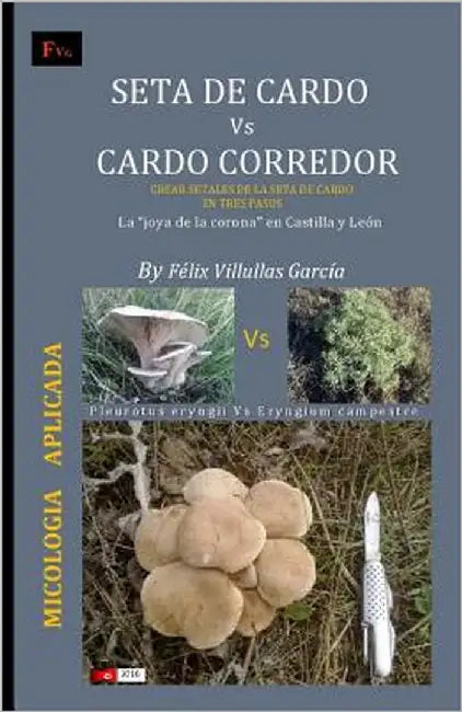 Seta de cardo Vs Cardo corredor: Crear "setales" de la seta de cardo en su habitat natural. La "joya de la corona" en Castilla y Leon by Garcia, Felix Villullas