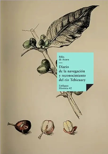 Diario de la navegación y reconocimiento del río Tebicuary by Félix de Azara