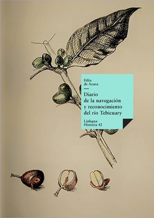 Diario de la navegación y reconocimiento del río Tebicuary by Félix de Azara