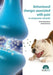 BEHAVIOURAL CHANGES ASSOCIATED WITH PAIN by Ashley Clark