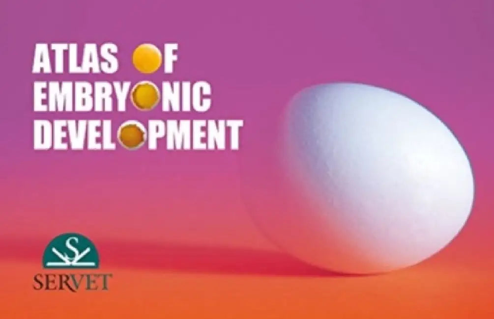 ATLAS OF EMBRYONIC DEVELOPMENT by Editors Of Applesauce Press