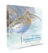 Between Sea and Land / Entre Mar y Tierra by Juan M. Varela