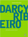 Darcy Ribeiro - Encontros by Darcy Ribeiro