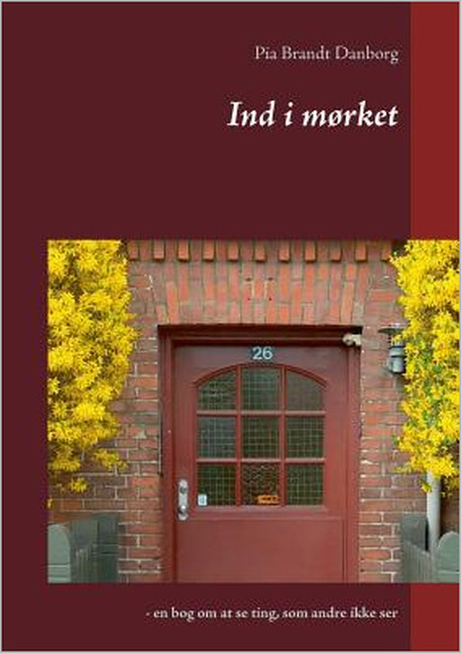 Ind i mørket: - en bog om at se ting, som andre ikke ser by Pia Brandt Danborg