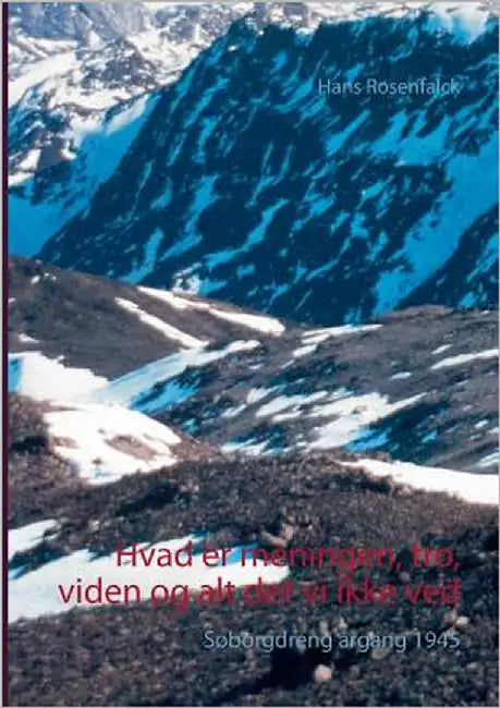 Hvad er meningen, tro, viden og alt det vi ikke ved: Søborgdreng årgang 1945 by Rosenfalck, Hans