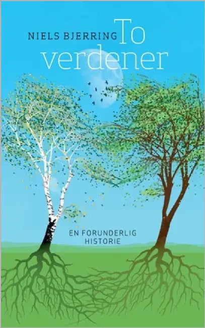 To verdener: En forunderlig historie by Bjerring, Niels