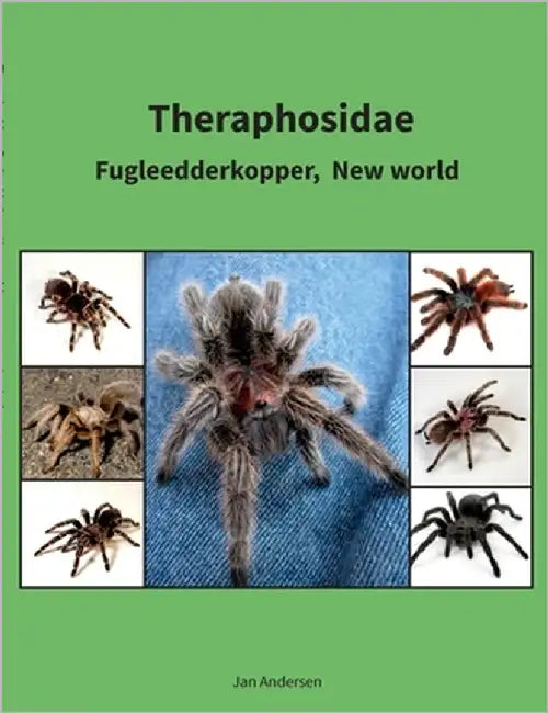 Theraphosidae: Fugleedderkopper, New world by Andersen, Jan