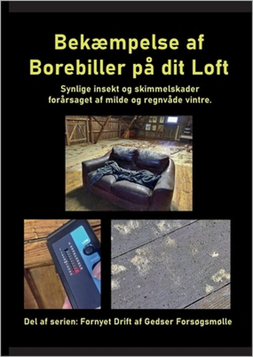 Bekæmpelse af Borebiller på dit Loft: Synlige insekt og skimmelskader forårsaget af milde og regnvåde vintre. by Gitte Ahrenkiel