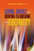 Saving Energy and Reducing CO2 Emissions with Electricity by Clark Gellings