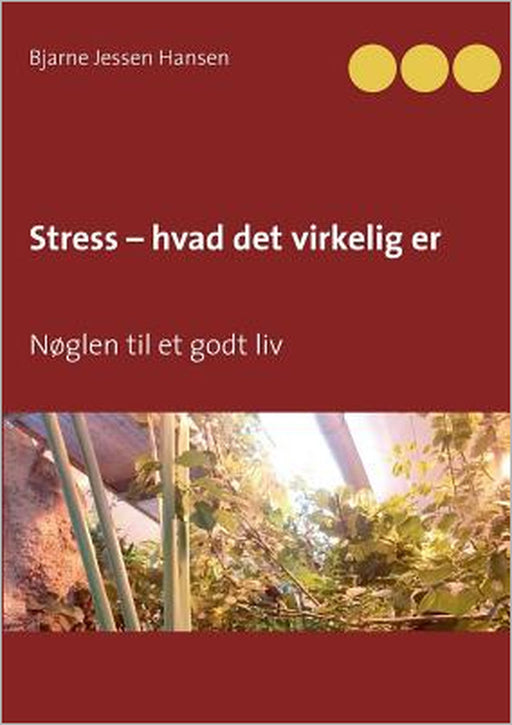 Stress - hvad det virkelig er: Nøglen til et godt liv by Bjarne Jessen Hansen