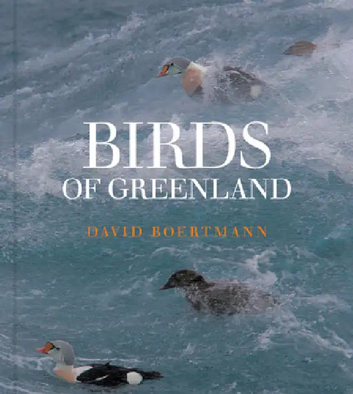 Birds of Greenland: An Annotated and Updated Checklist by David Boertmann