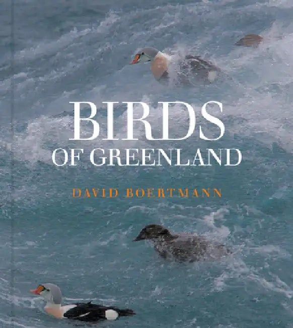 Birds of Greenland: An Annotated and Updated Checklist by David Boertmann