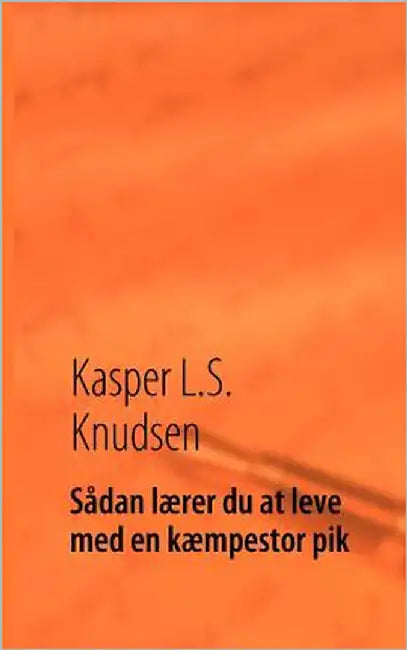 Sådan lærer du at leve med en kæmpestor pik by Knudsen, Kasper L. S.