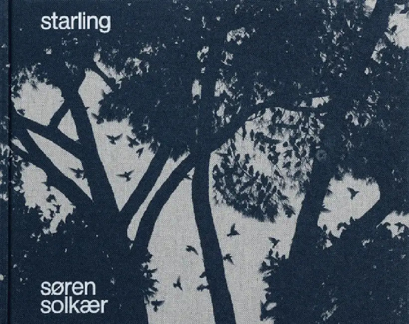 Søren Solkær: Starling by Soren Solkaer