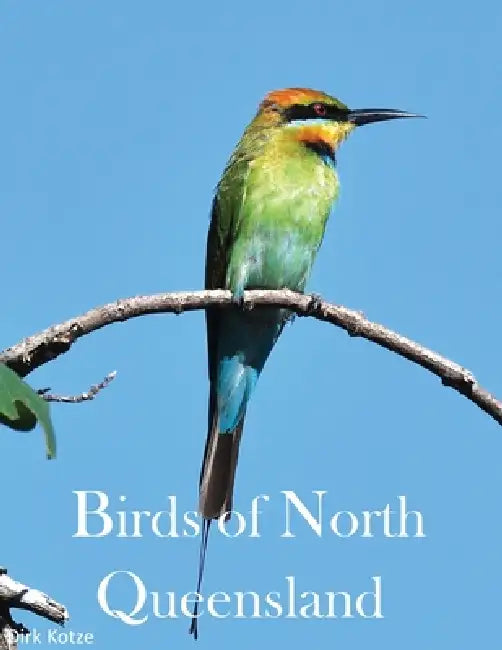 Birds of North Queensland by Dirk Kotze, Suzette O'Connell