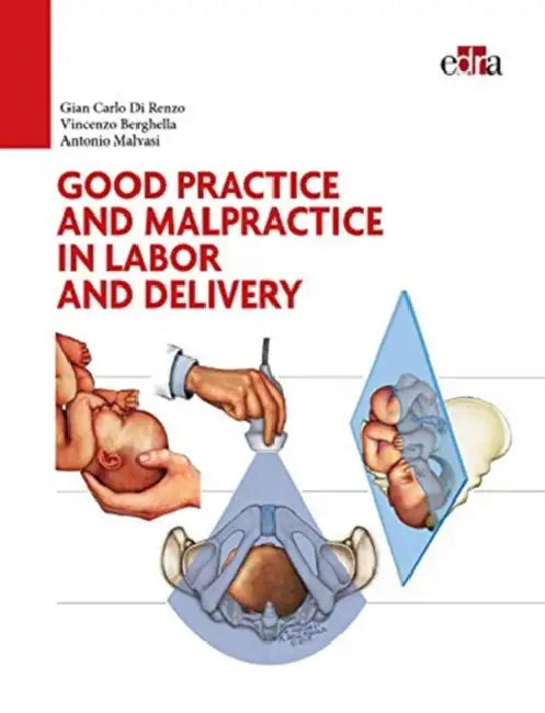 Good Practice and Malpractice in Labor and Delivery by Gian Carlo Di Renzo, Vincenzo Berghella, Antonio Malvasi