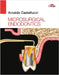 Microsurgical Endodontics by Arnaldo Castellucci
