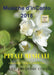 Musiche d'inCanto 2018 - Petali musicali by Cornelio Piccoli