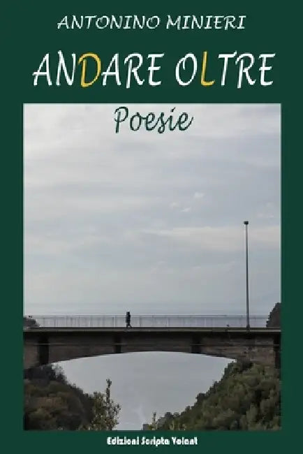 Andare oltre by Antonino Minieri