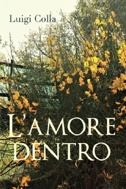 L'amore dentro by Luigi Colla