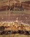 Timeless Wonder: Painting on Stone in Rome Between the Cinquecento and Seicento by Francesca Cappelletti, Patrizia Cavazzini