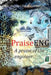 PraiseENG - A Praise of the Engineer by Giovanni Frosio