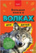 Большая книга о Волках дл by Jenny Kellett