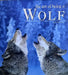 The Art Of Being A Wolf by Anne Menatory
