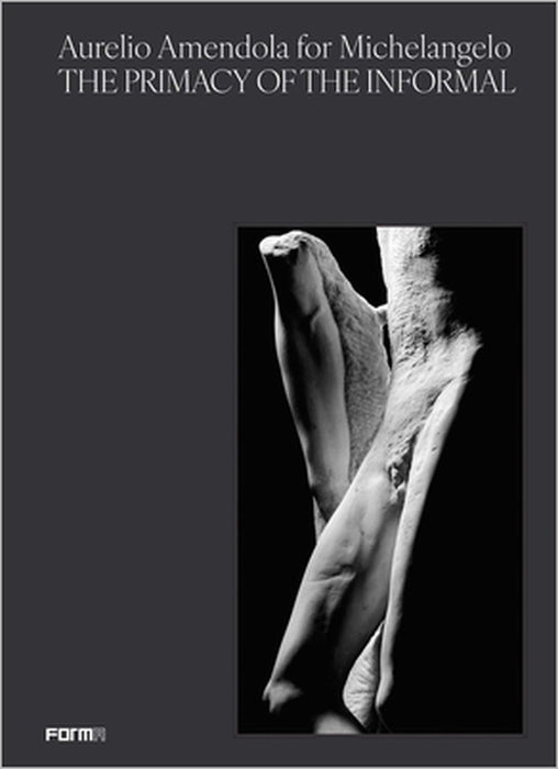 Aurelio Amendola for Michelangelo: The Primacy of the Informal by Aurelio Amendola, Antonio Natali