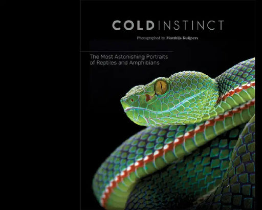 Matthijs Kuijpers: Cold Instinct by Matthijs Kuijpers
