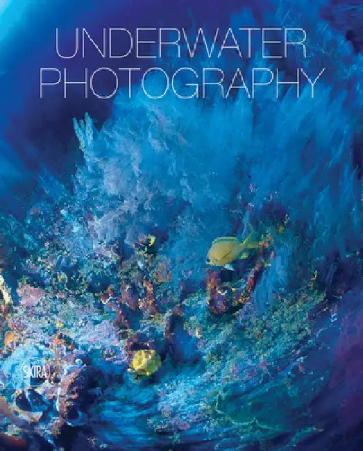 Underwater Photography by Vincenzo Paolillo