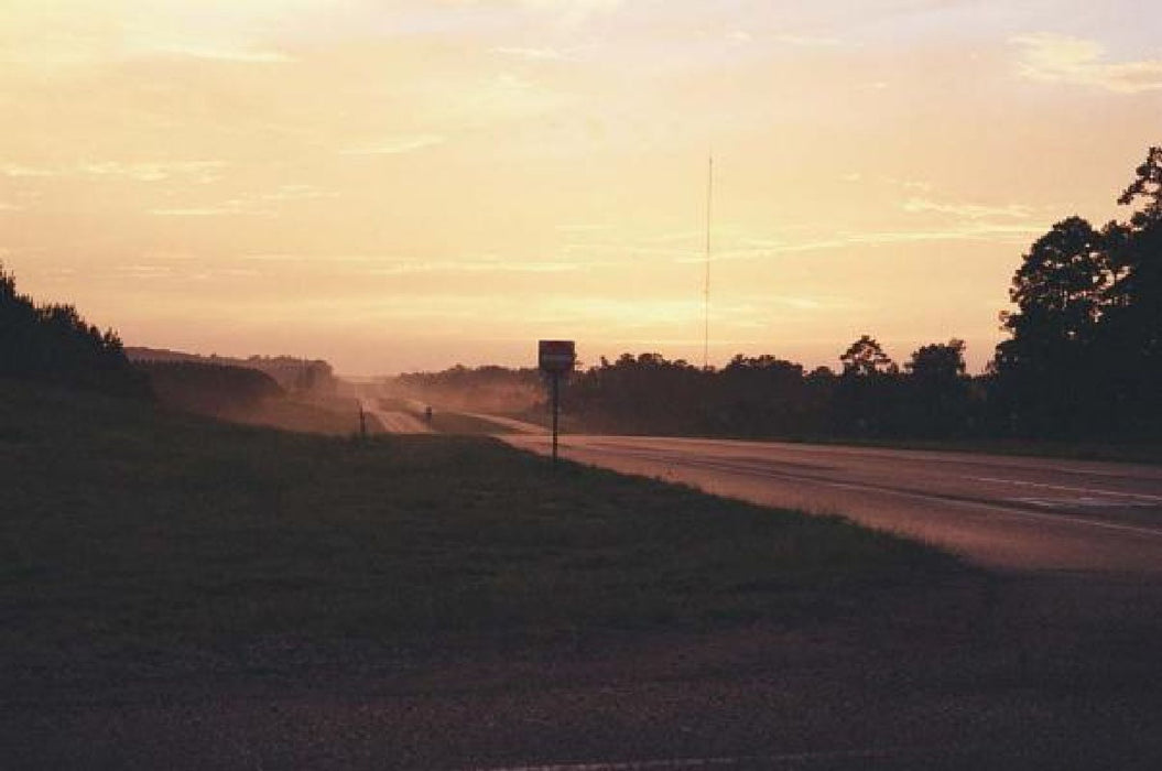 David Shama: Do Not Feed Alligators by David Shama