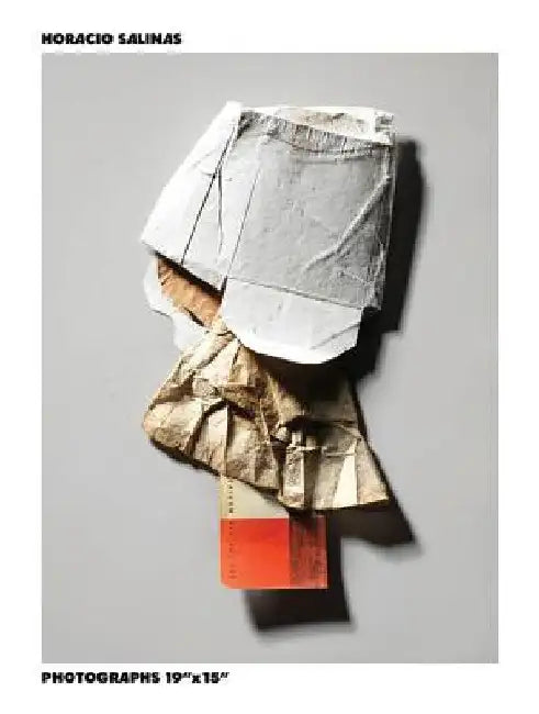 Horacio Salinas: Untitled 19a X 15a by Horacio Salinas