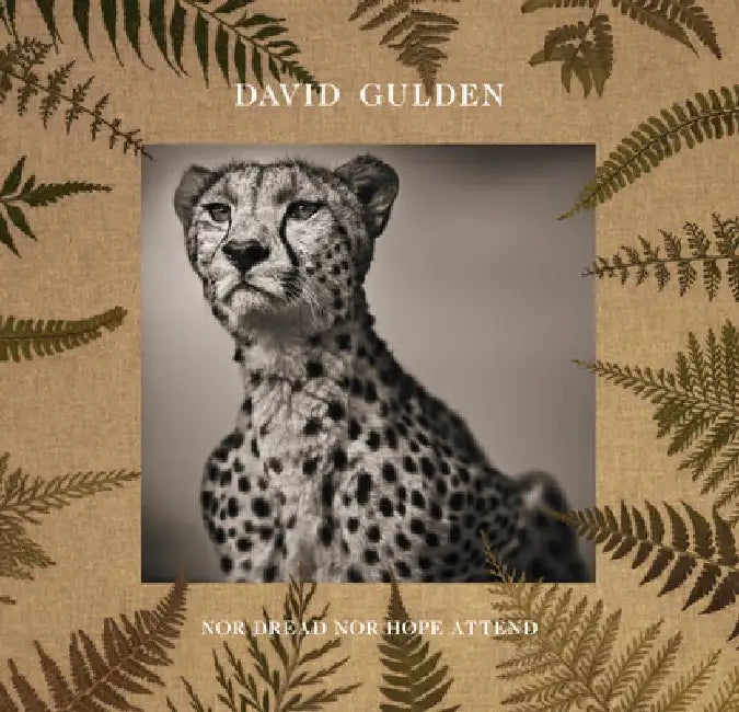 David Gulden: Nor Dread Nor Hope Attend by David Gulden