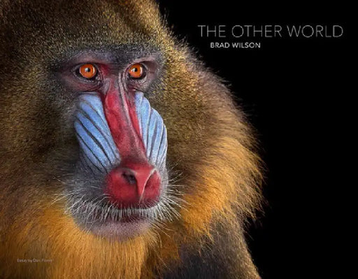 Brad Wilson: The Other World by Brad Wilson