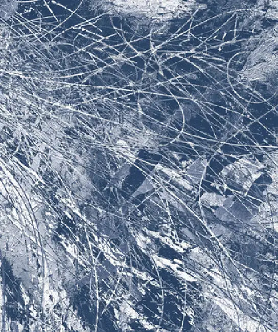 Jos� Parl� Polarities by Jose Parla, Sara Nickleson, Laura Mott